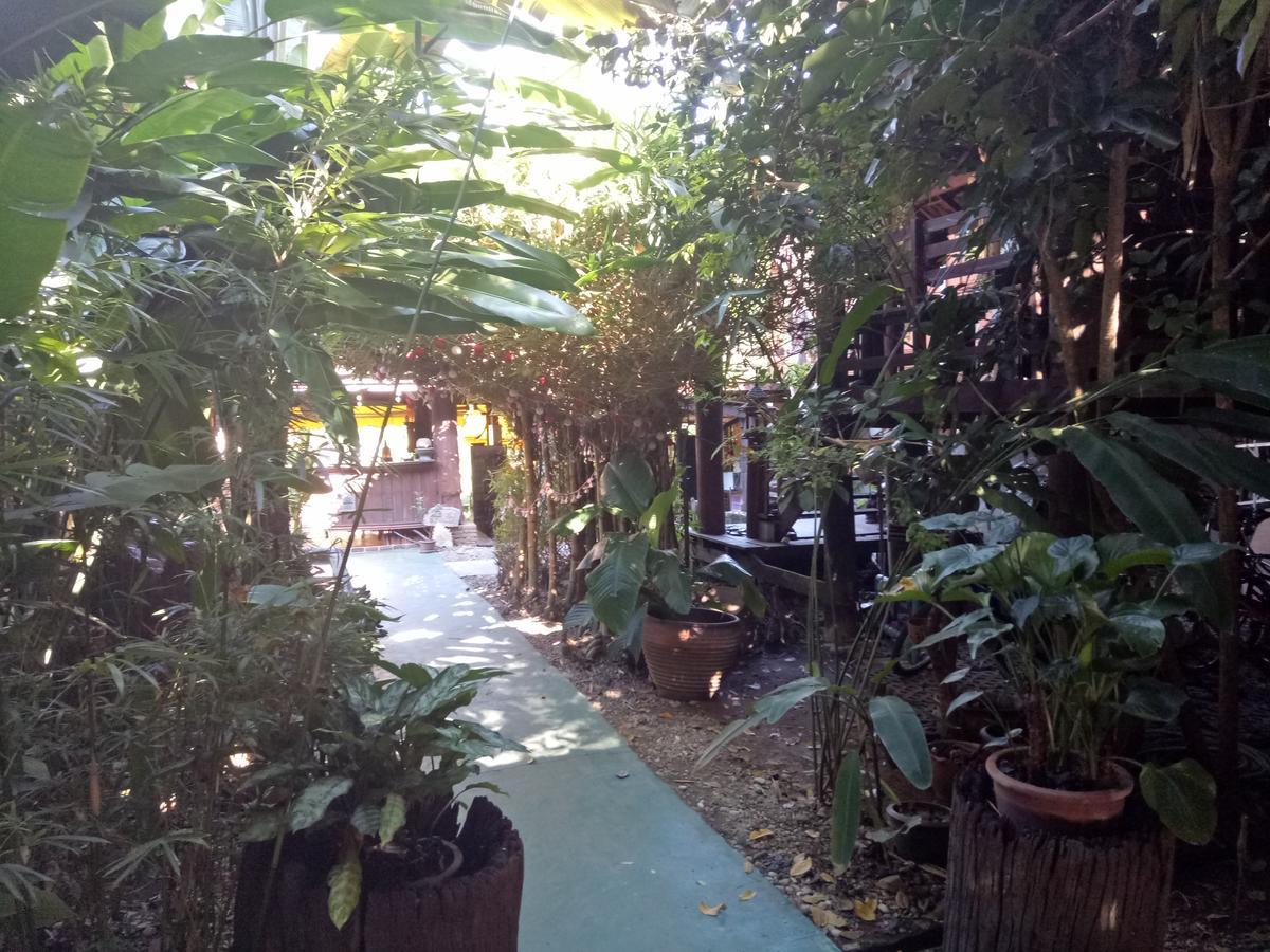 Tonnam Homestay Chiang Mai Exterior foto